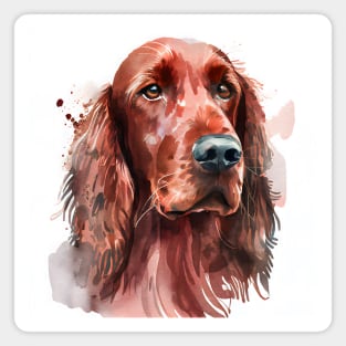 Red Irish Setter Watercolor Portrait Magnet